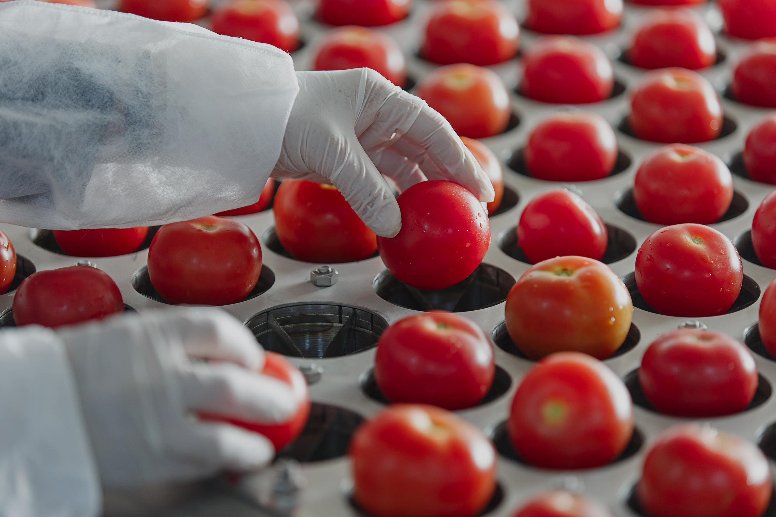 La FDA, el USDA y la EPA crean una nueva plataforma conjunta para ayudar a regular la biotecnología agrícola