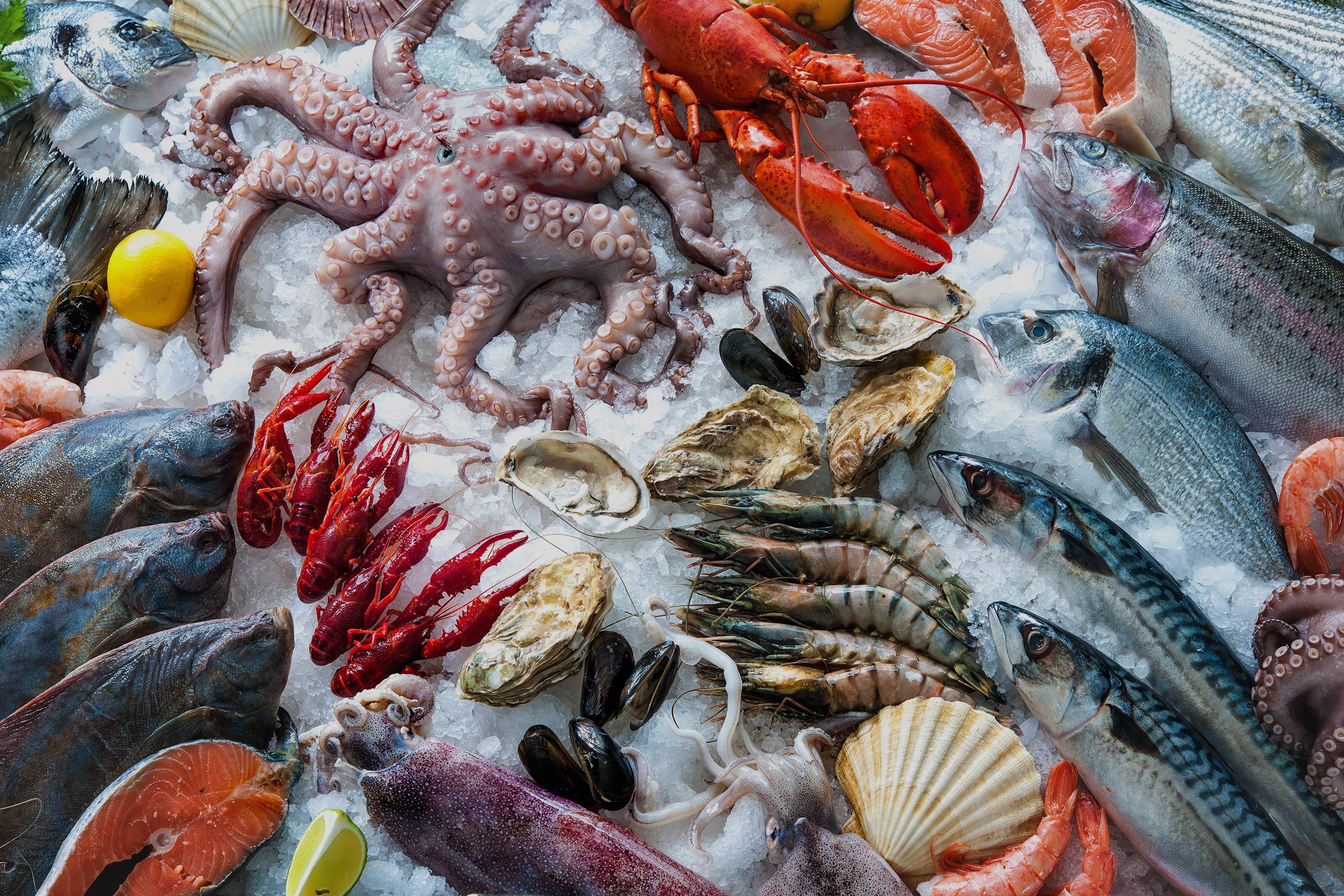 FDA and EU take up the trade in raw seafood